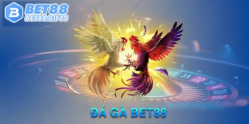 Khám phá thế giới cá cược đá gà BET88 đỉnh cao 